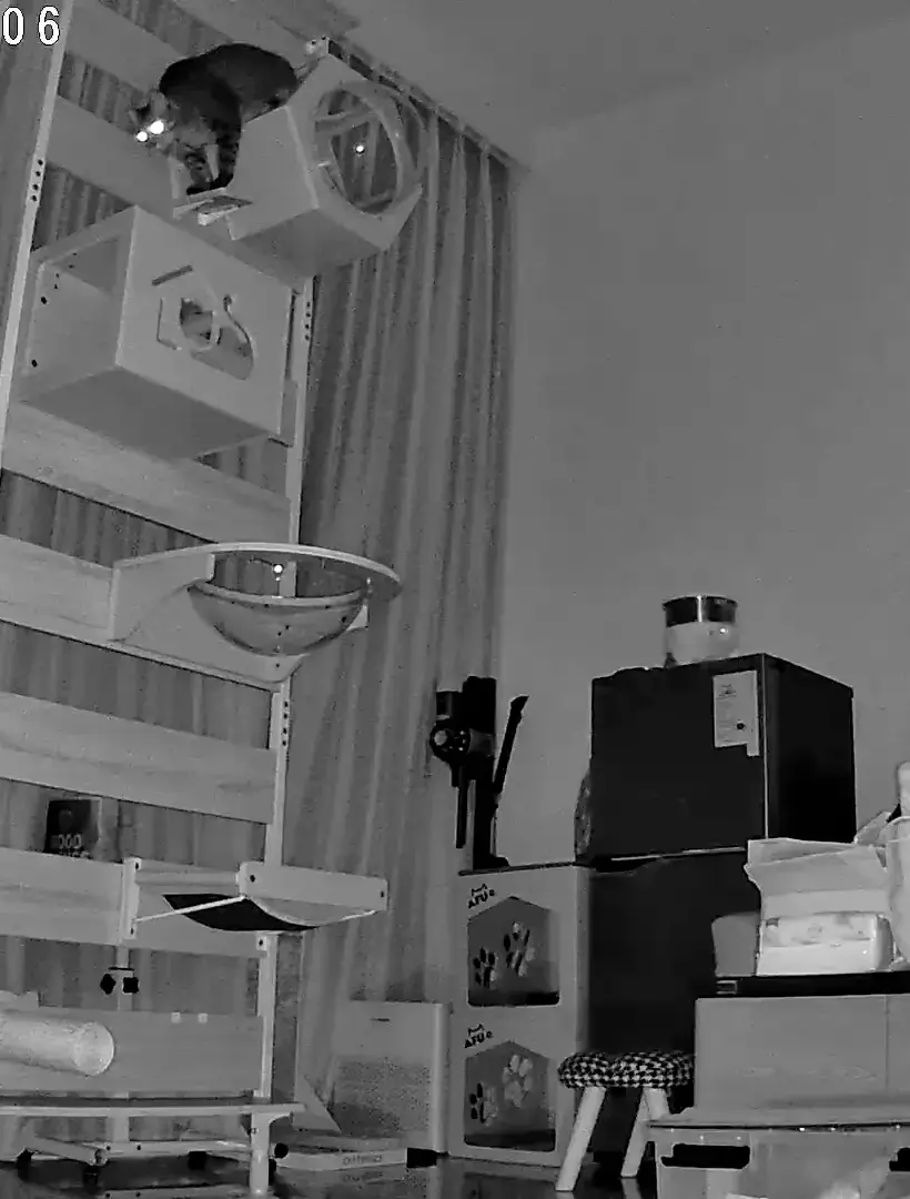 B0a7b97ad974 20240602193822860