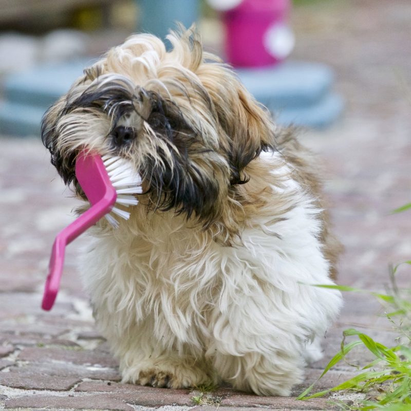 Pexels Photo 422212.jpeg